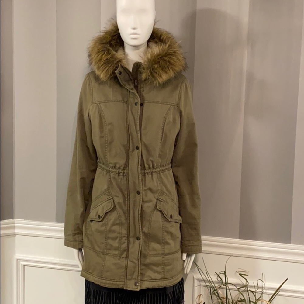 Hollister Winter Coat
